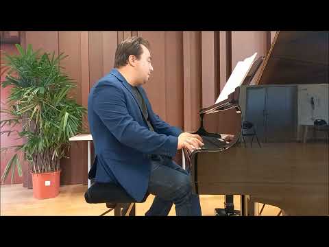 🎹 Claude Debussy - Rêverie L 68 CD 76 by Matthieu Stefanelli, piano impressionism french music