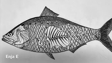 Virtual Art Exhibition - Year 10 IGCSE Coursework - Natural World