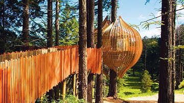 Free Standing Tree House Platform