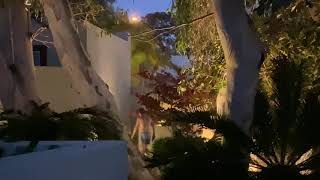 Gilligan's Island fight: PIMCO billionaire Bill Gross' bizarre showdown w/ his Laguna Beach neighbor Details