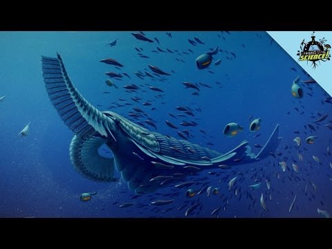 Giant Turtle Fossil Reunited After 163 Years and More!