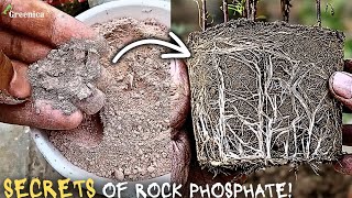 Magical Benefits of Rock Phosphate For Plants! (& Proper Use) 