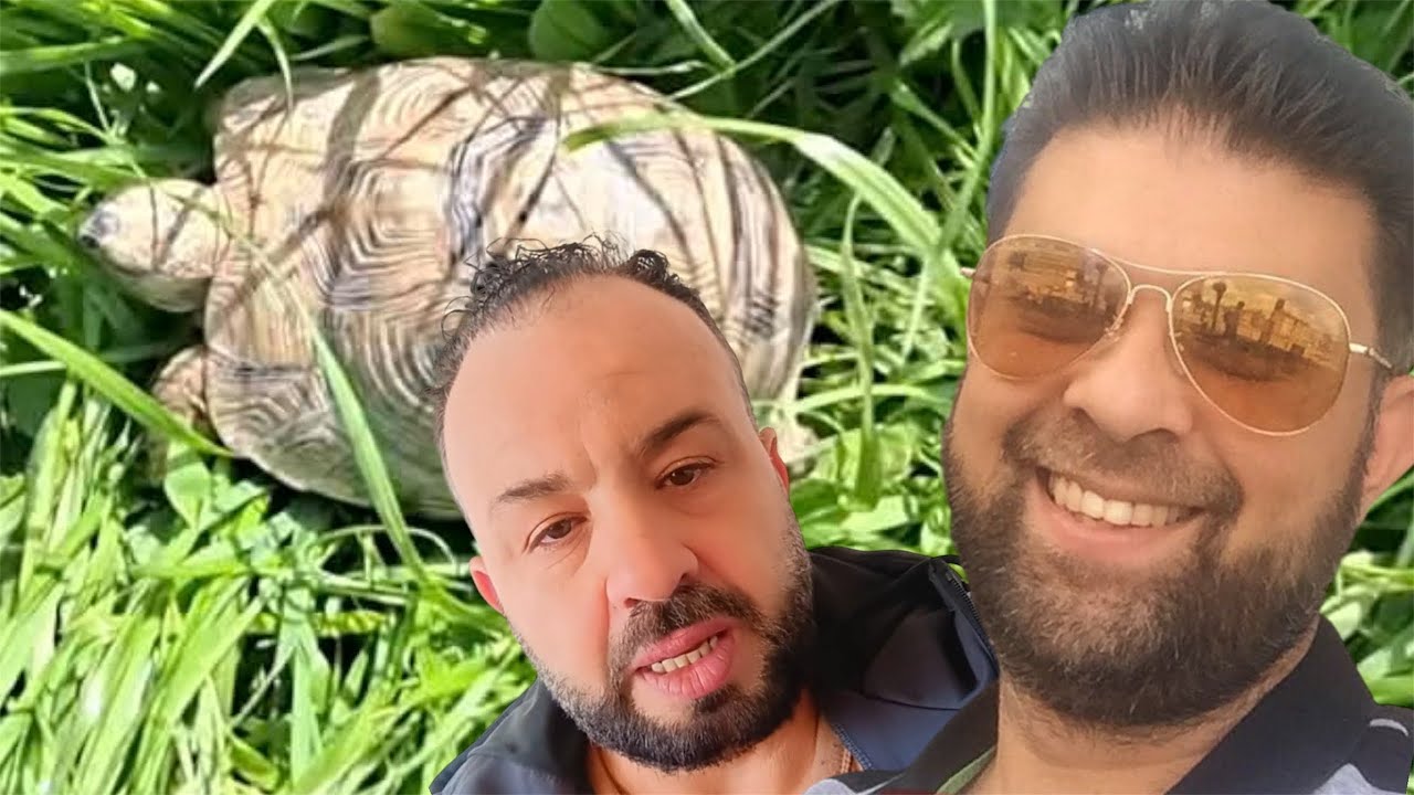 Ichfa abore mis n chokri achfa