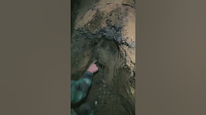 The nightmare of the German bunker!