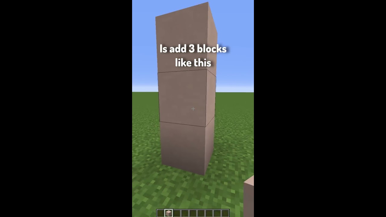 Types Of Builders In Minecraft