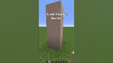 Types of Builders in Minecraft