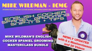 Complete English Cocker Spaniel Masterclass Series Trail