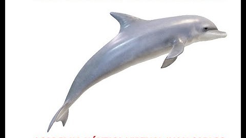 Nº 117 PER EJERCICIO Nº42 MODELO A EQUIVALENTE AL Nº 43 MODELO B