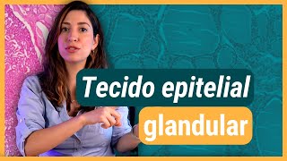 TECIDO EPITELIAL glandular | Histologia