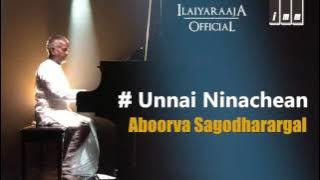 Unna Nenachen Song | Apoorva Sagodharargal Tamil Movie | Kamal Hassan | Amala | Ilaiyaraaja 