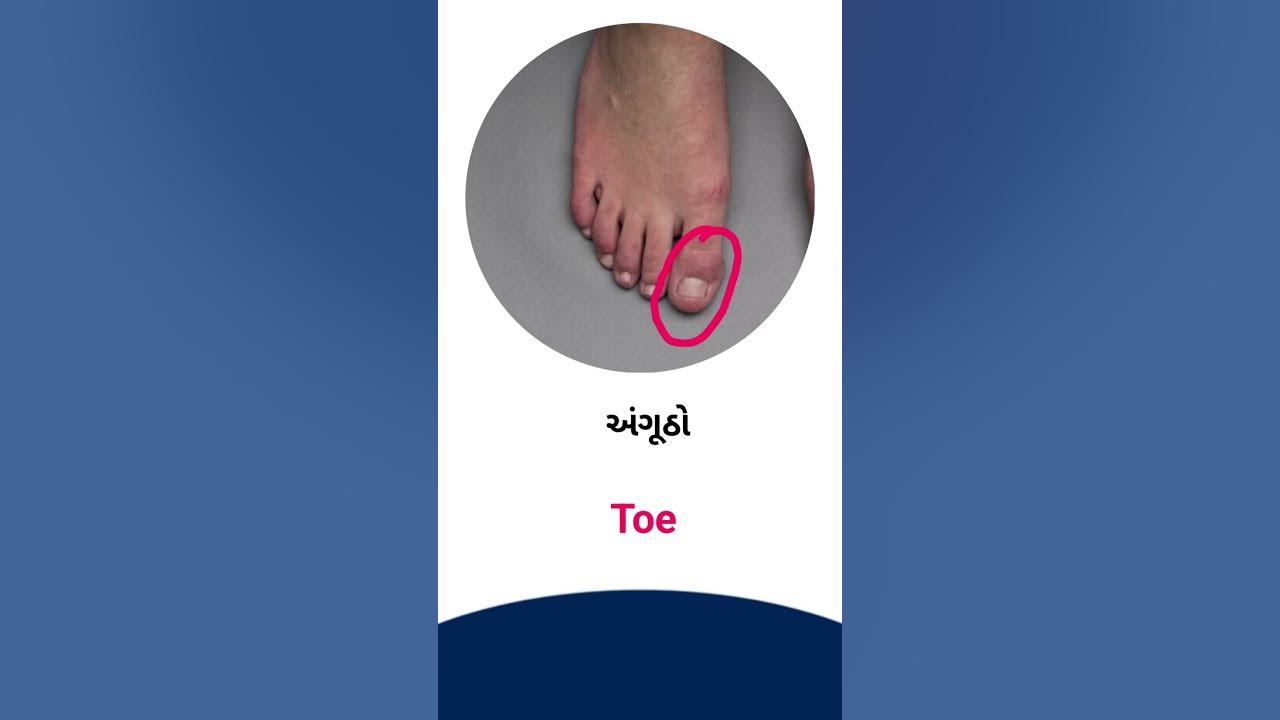 toe-meaning-in-gujarati-english-dictionary-youtube