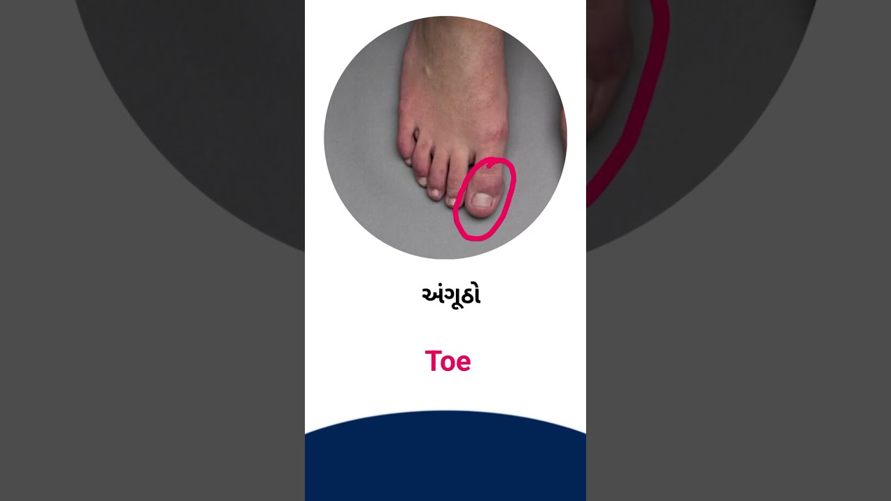 Toe Meaning In Gujarati English Dictionary YouTube Toe Meaning In Gujarati English Dictionary YouTube
