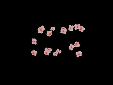 Flower Blast Green Screen