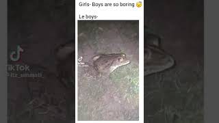 Download Lagu tar tar tar 🐸🤣#memes #trending #goviral MP3