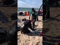 KOGL Test Fest 2021 | Day 1 Highlights 2 🤙🏽