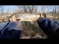 Creek fishing with spinner for big trout