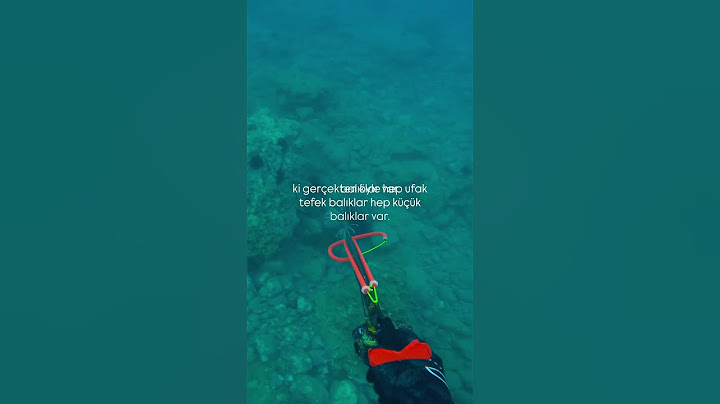 Muğla'nın her yeri göçmen istilacı balık ve zehirli deniz kestaneleri ile dolmuş #muğla