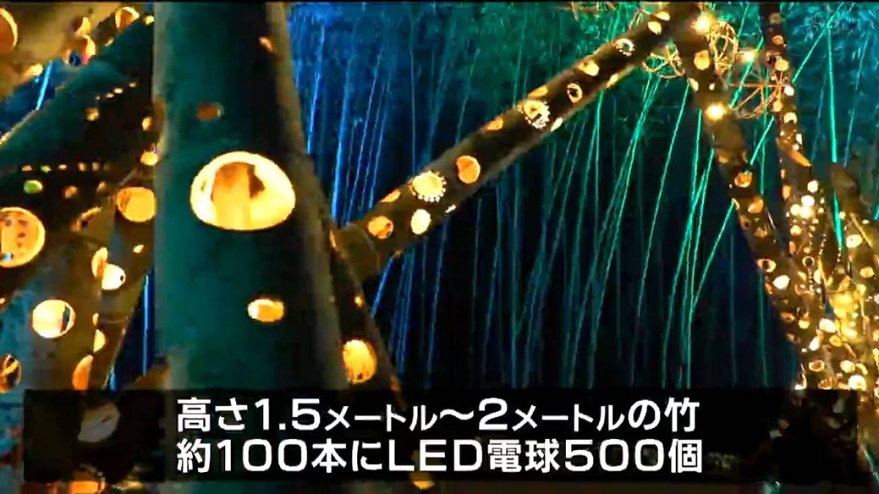 町の新たな観光資源に” 竹林を幻想的な灯りで照らす「竹灯り回廊