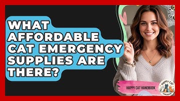 What Affordable Cat Emergency Supplies Are There? - Happy Cat Handbook