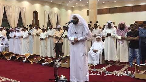 القارئ / عمر الدمخي