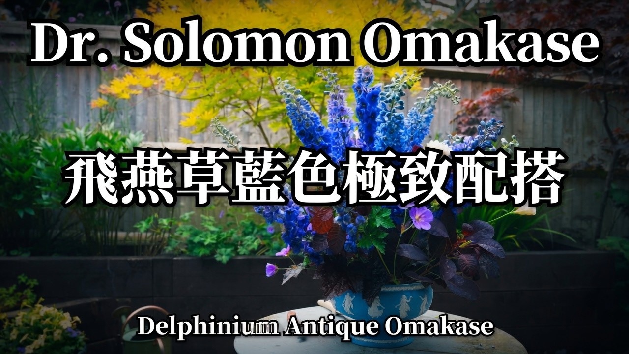 飛燕草古董 Omakase：Wedgwood 碗的藍色極致配搭 | Delphiniums  with Wedgwood Jasperware Bowl | 大師SOLOMON 花藝教室