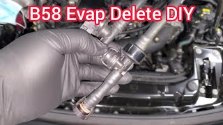Famous B58 Engine Bay Cleanup - EVAP Line Delete Part 1 Net Worth