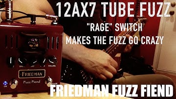 Friedman Fuzz Fiend,  demo by Pete Thorn