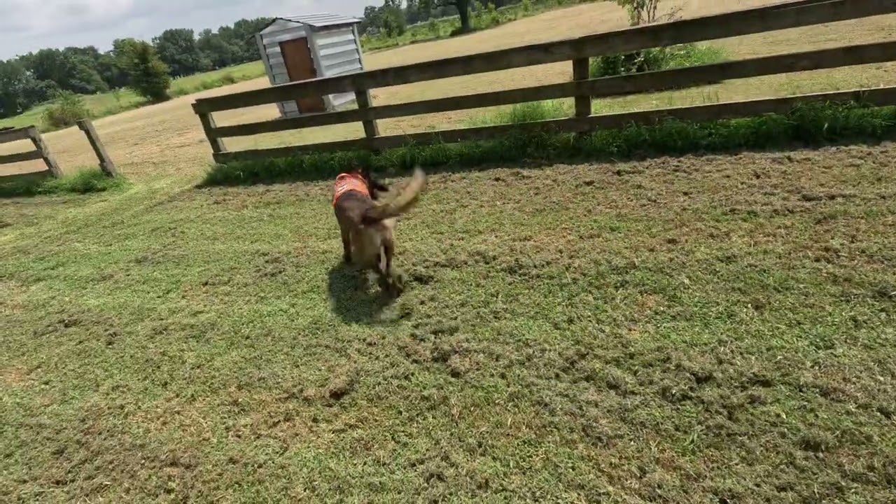 Trooper working in Arkansas. 