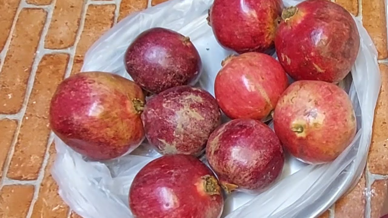 سر حفظ الرمان بقشره لمدة سنه الطريقه مجربه ومضمونه