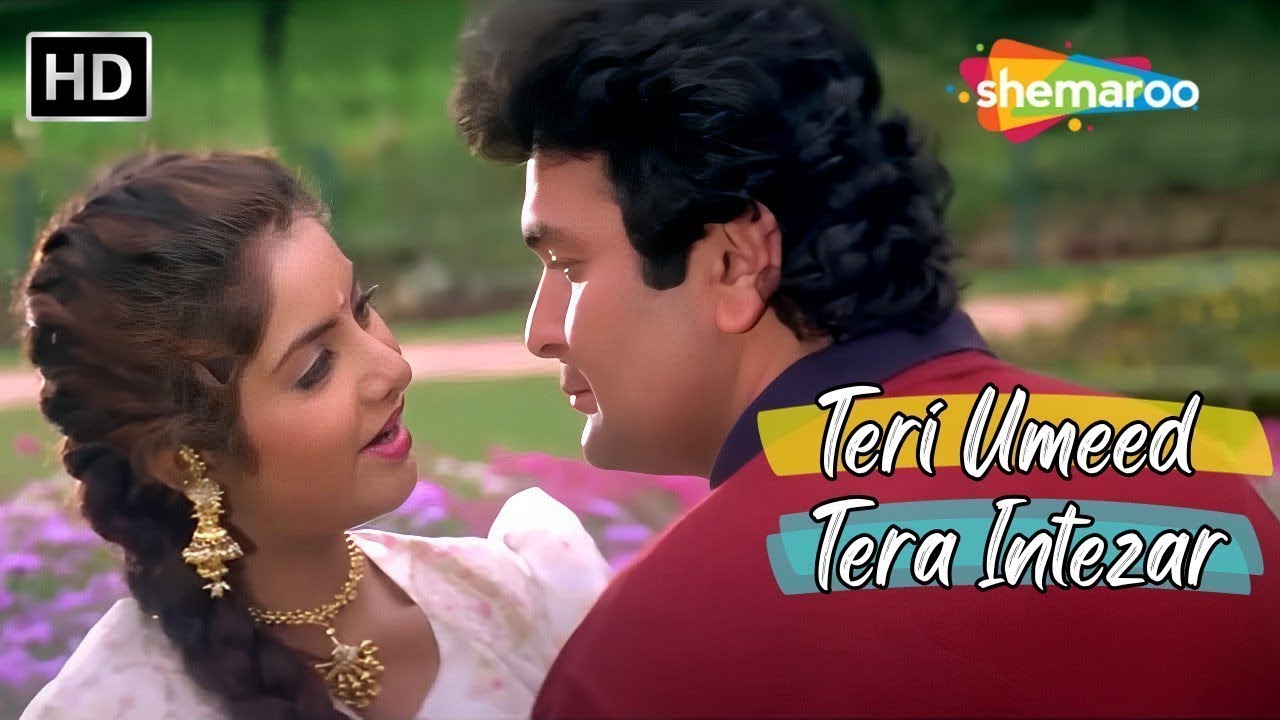 Teri Umeed Tera Intezar Deewana 1992 Rishi Kapoor Divya Bharti Kumar Sanu