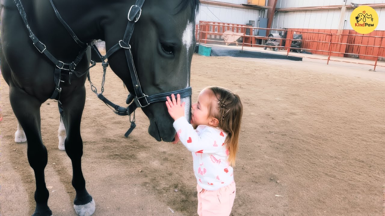 Эта малышка нашла свою вторую половинку в лошади весом 1000 фунтов