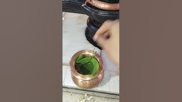 सावन सोमवार के दिन पांच बेलपत्र का उपाय #shivmahapurankatha #belpatra #pradeepmishraji #sawansomvar