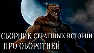 СТРАШНЫЕ ИСТОРИИ НА НОЧЬ / СТРАШНЫЕ ИСТОРИИ ПРО ОБОРОТНЕЙ / СБОРНИК СТРАШНЫХ ИСТОРИЙ  / ЛЕС