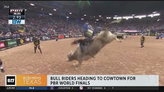 Bull riders are heading to Fort Worth Stockyards for PBR Eliminations