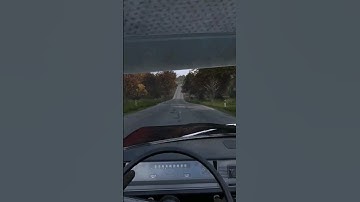when you finally get a car in DayZ #gaming #dayz