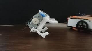 🤖Brother Robot: VLOG #121 Somersault Dog Mechanics