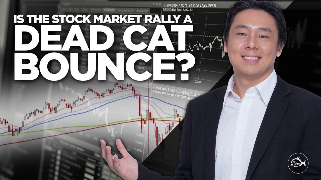 Is the Stock Market Rally a Dead Cat Bounce? By Adam Khoo