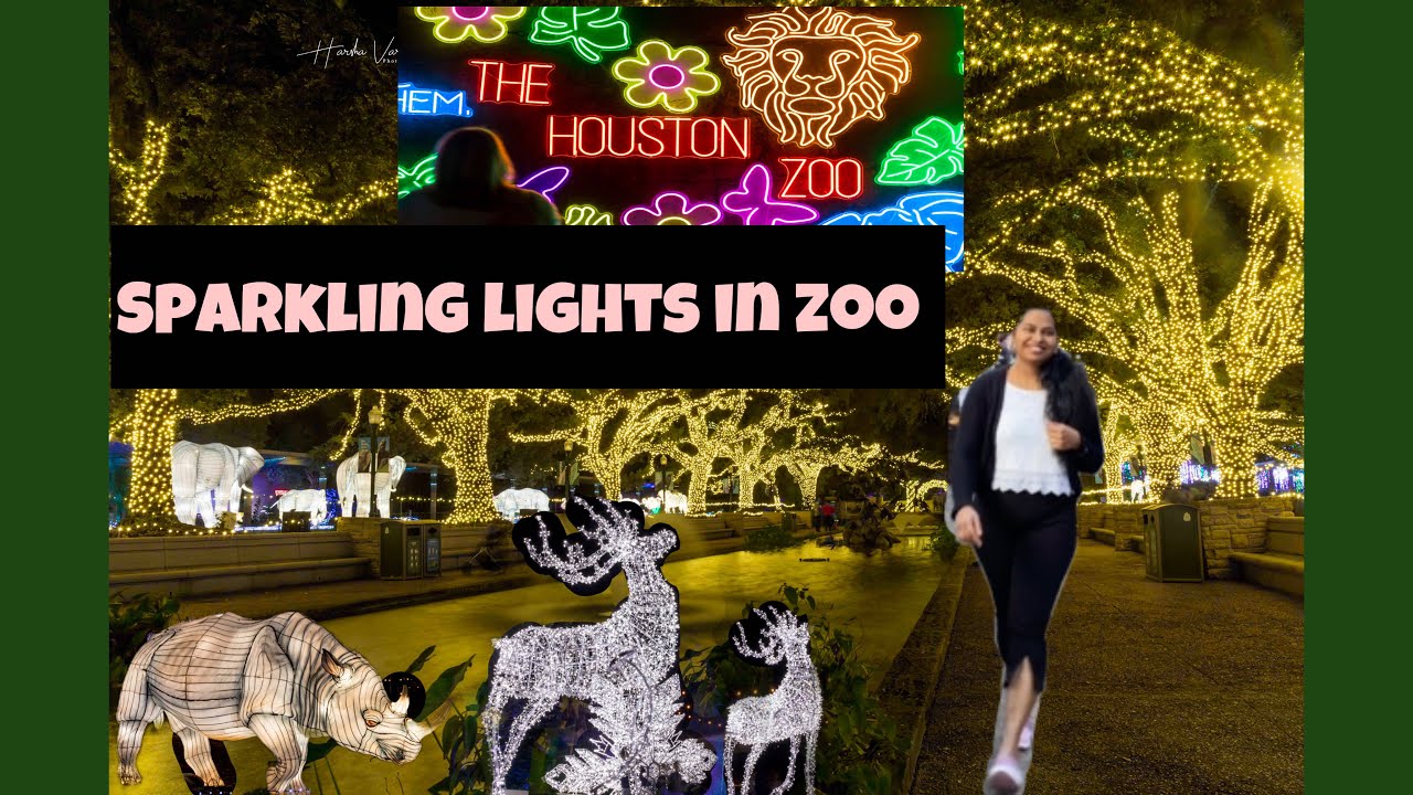 Houston zoo lights 2023| fake snow spray effect తో పిల్లల కేరింతలు