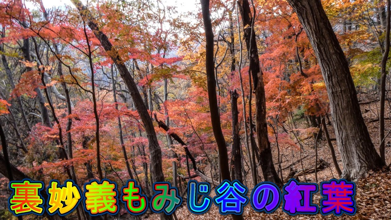 裏妙義の通称もみじ谷に行って来ました Youtube 裏妙義の通称もみじ谷に行って来ました Youtube