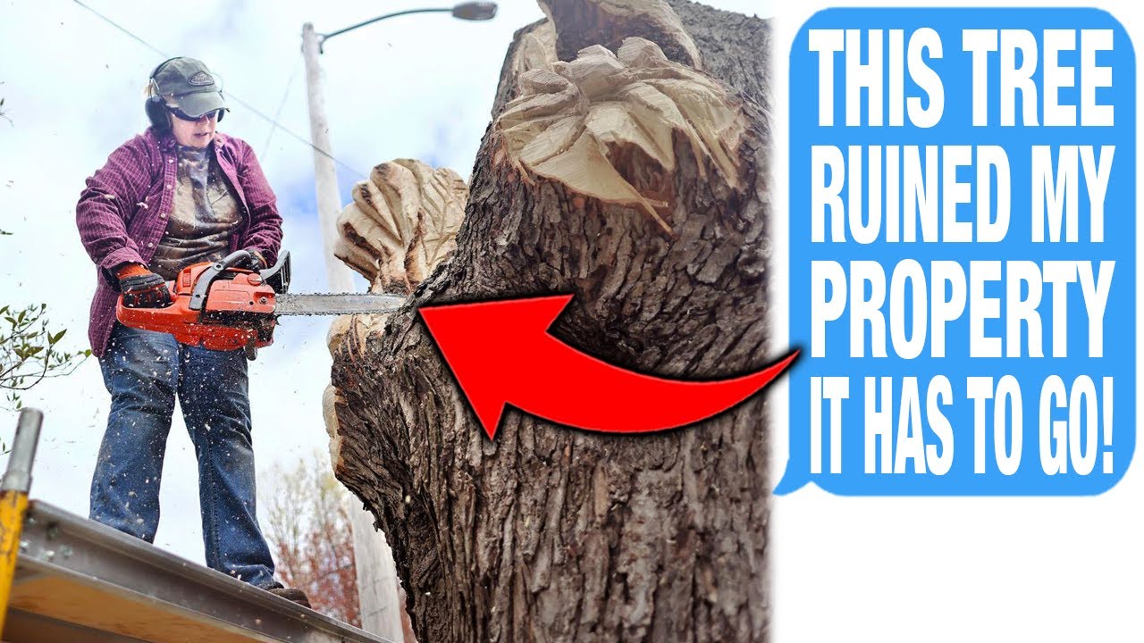 Neighbor Cut Down My 65′ Tall Tree Without Permission, Pays Enormous