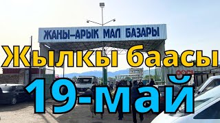 Каракол мал базар Жылкы баасы 19-май 2024 // Жарнама 0705630330