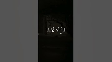 #قران كريم #راحه نفسية لا تبخل بالصلاة على النبي🤍 #اكسبلور #تعليق 🌸🤍