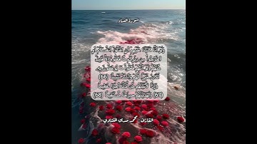 سورة النساء ٦٦-٦٧-٦٨ #قرآن #قرآن_كريم #قران #قران_كريم #قرأن #quran