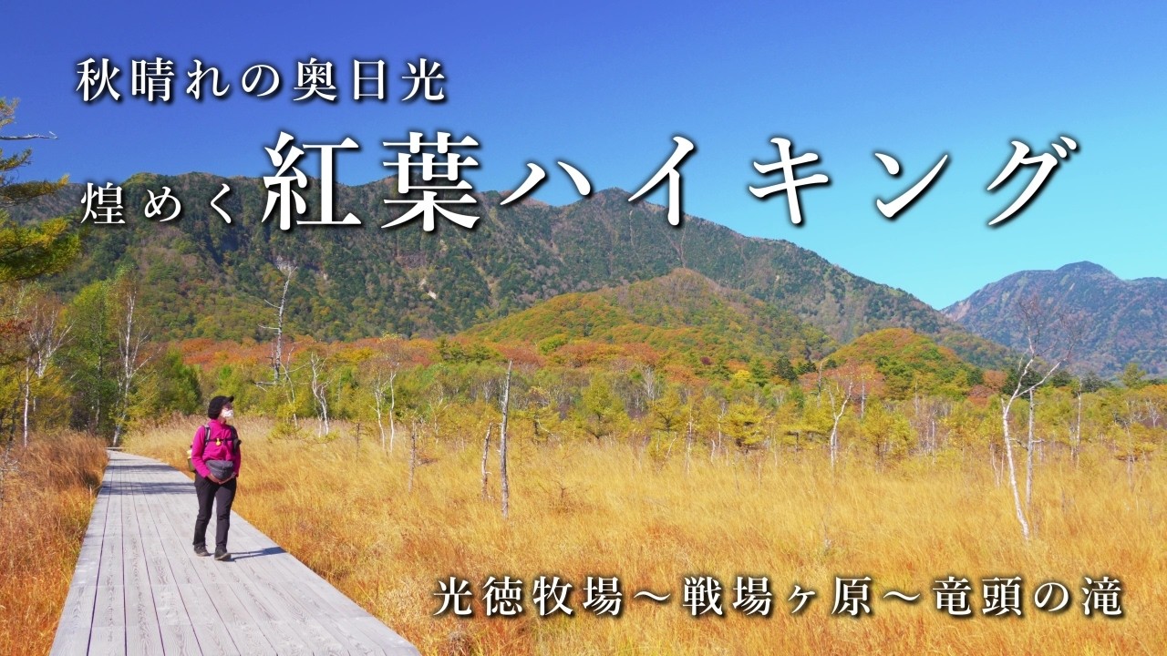 【奥日光】秋晴れの紅葉ハイキング【光徳牧場～戦場ヶ原～竜頭の滝】
