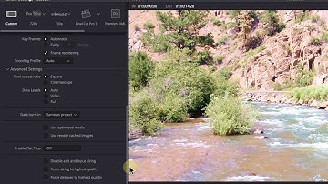 Davinci Resolve 14 -  Deliver Page Tutorial