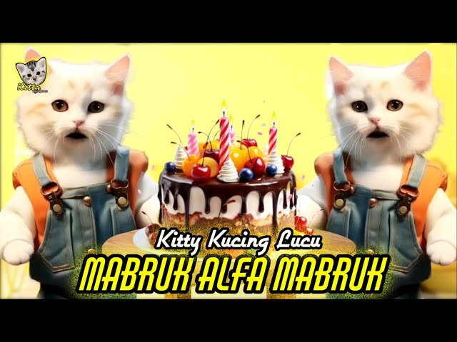 KUCING LUCU ULANG TAHUN NYANYI MABRUK ALFA MABRUK || Kitty Kucing Lucu class=