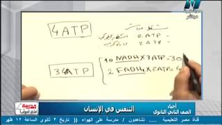 اجابه السوال الاحياء الصف الثاني الثانوي ترم الاول احسب عدد جزيئات