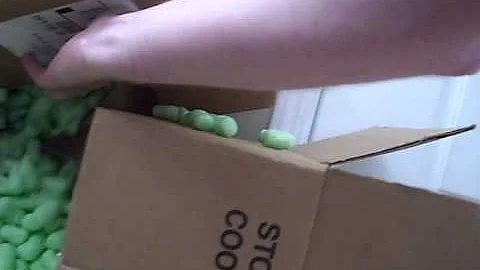 Squeak the Cat in a box Upside Down Crazy Cat Video
