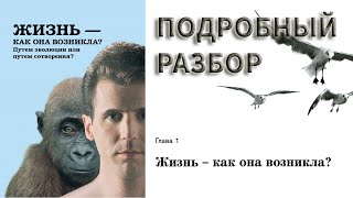 Глава 1. Жизнь - как она возникла? / Подробный разбор