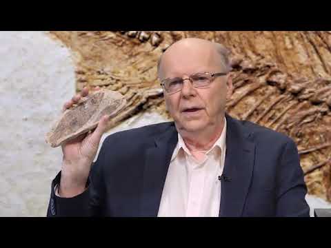 Video: Millainen fossiili on ammoniitti?